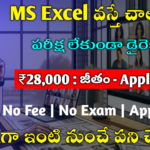 MS Excel Work From Home Jobs 2024 Best Jobs 