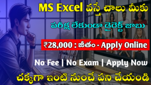 MS Excel Work From Home Jobs 2024 Best Jobs 