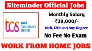 SUPER TCS WORK AT HOME JOBS 2024