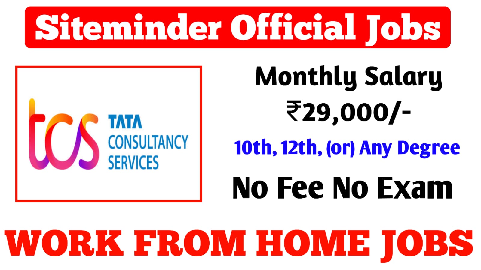 SUPER TCS WORK AT HOME JOBS 2024