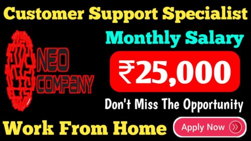 NEO COMPANY SUPER WORK FROM HOME JOBS 2024