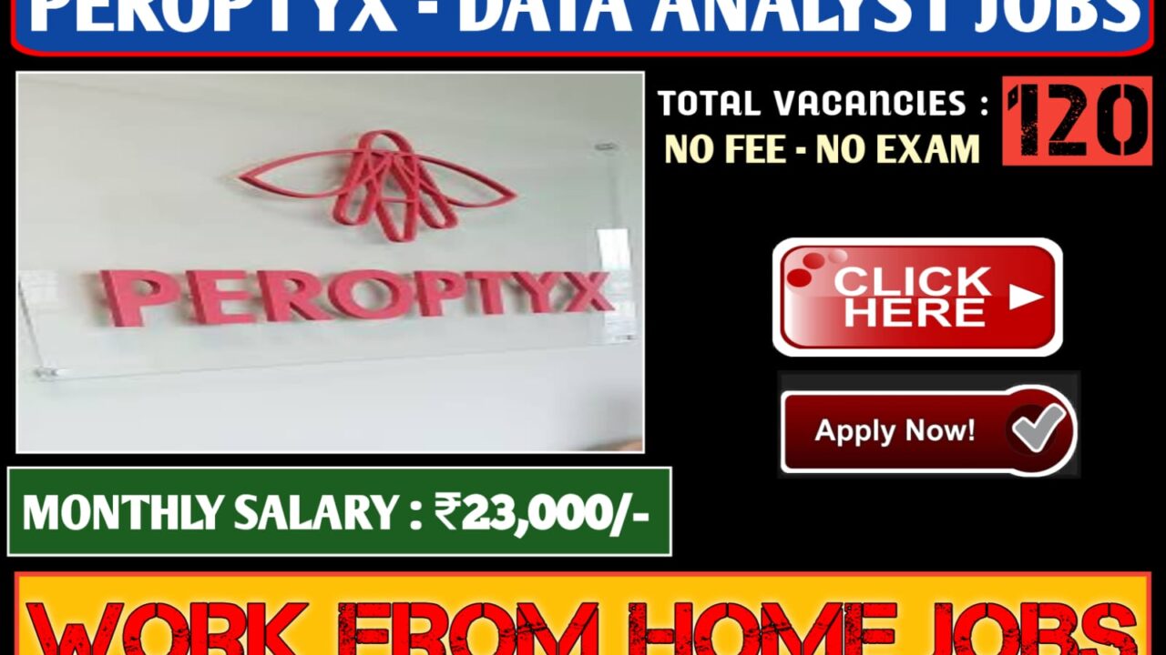 SUPER DATA ANALYST WORK AT HOME 2024