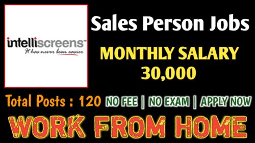 amazing sales person work from home jobs 120