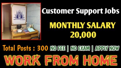 super customer support work at home job 2024