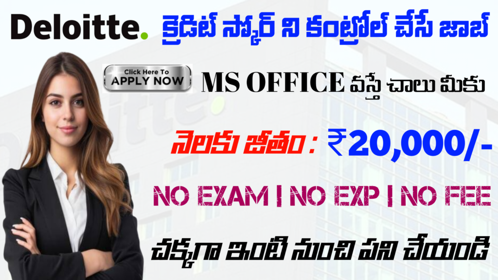 Excellent Work at home DELOITTE Jobs 2025