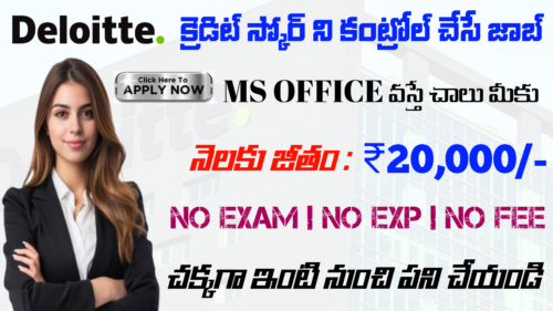 Excellent Work at home DELOITTE Jobs 2025