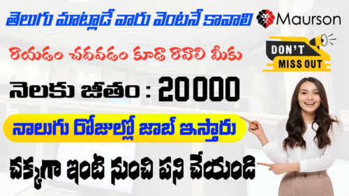 Amazing telugu translated work from home jobs 2025