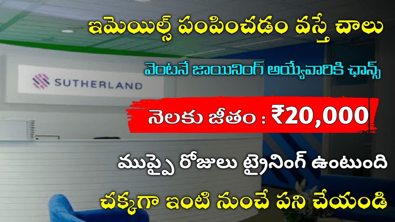 Excellent Email Typist Jobs in Sutherland 2025
