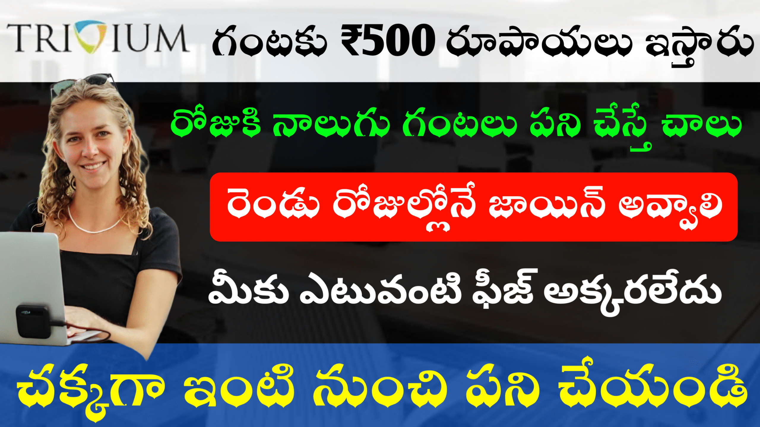 Excellent Trivium Education Company Jobs 2025