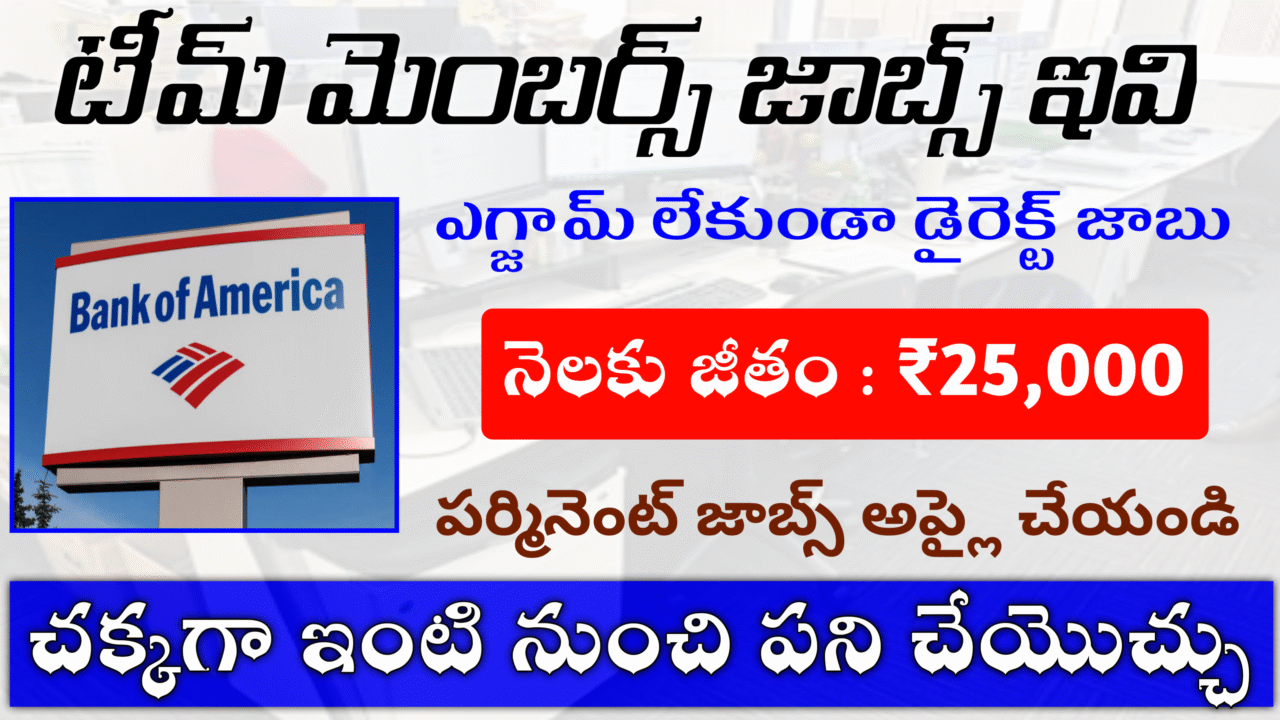 Excellent team members wfh jobs in 2025
