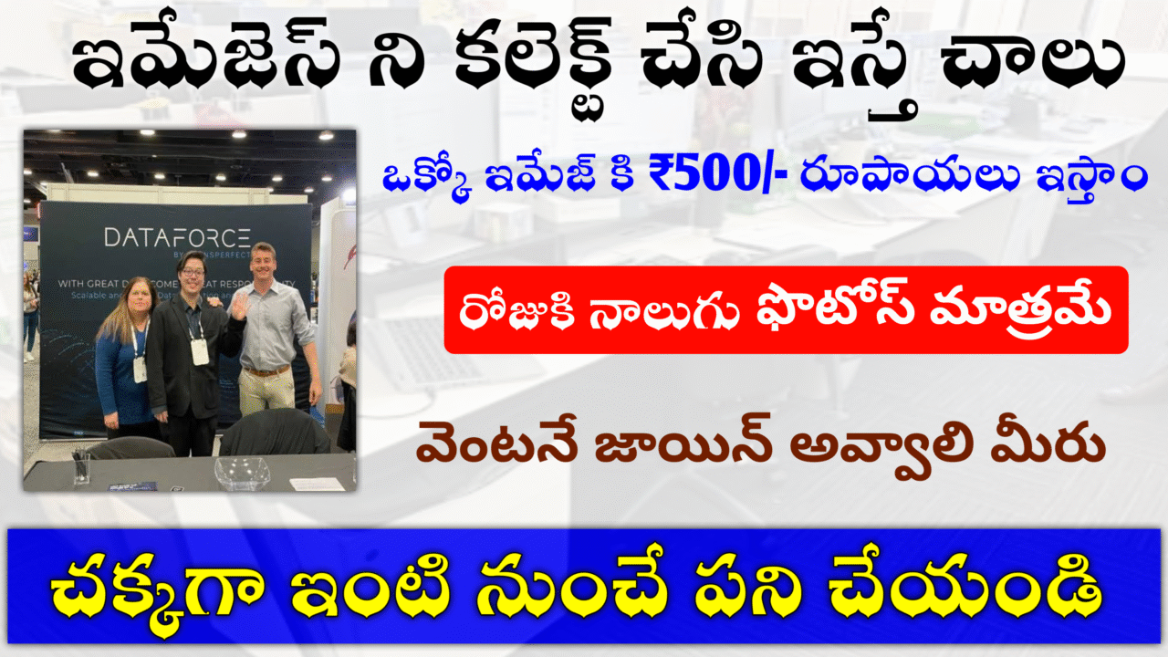 ఇమేజెస్ ని కలెక్ట్ చేయడం వస్తే చాలు మీకు నెలకు జీతం : ₹25,000
