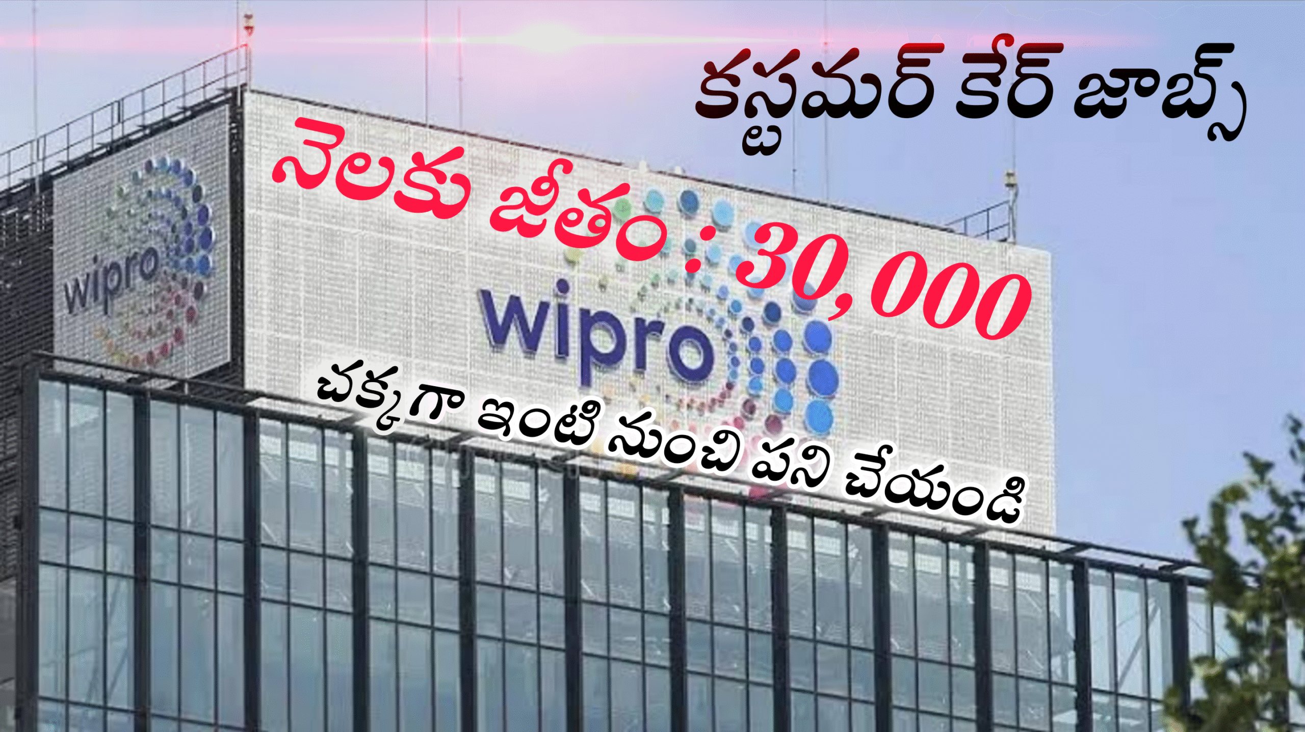 Excellent Customer Support WFH Jobs 2025