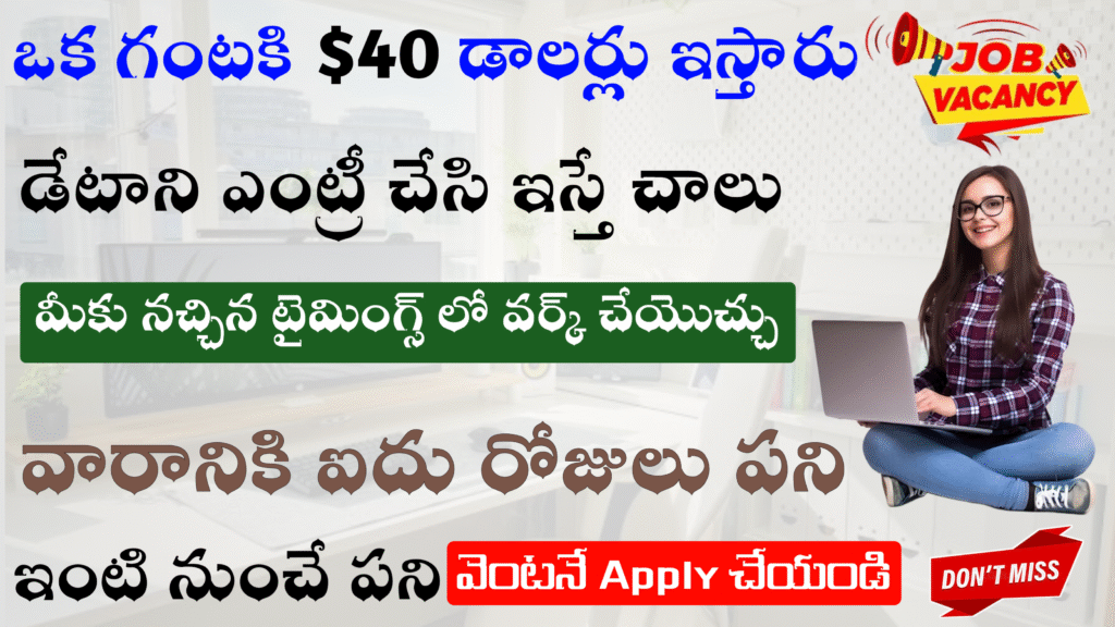గంటకు $40 డాలర్లు ఇస్తున్నారు డేటా ఎంట్రీ చేసి ఇస్తే చాలు మీరు