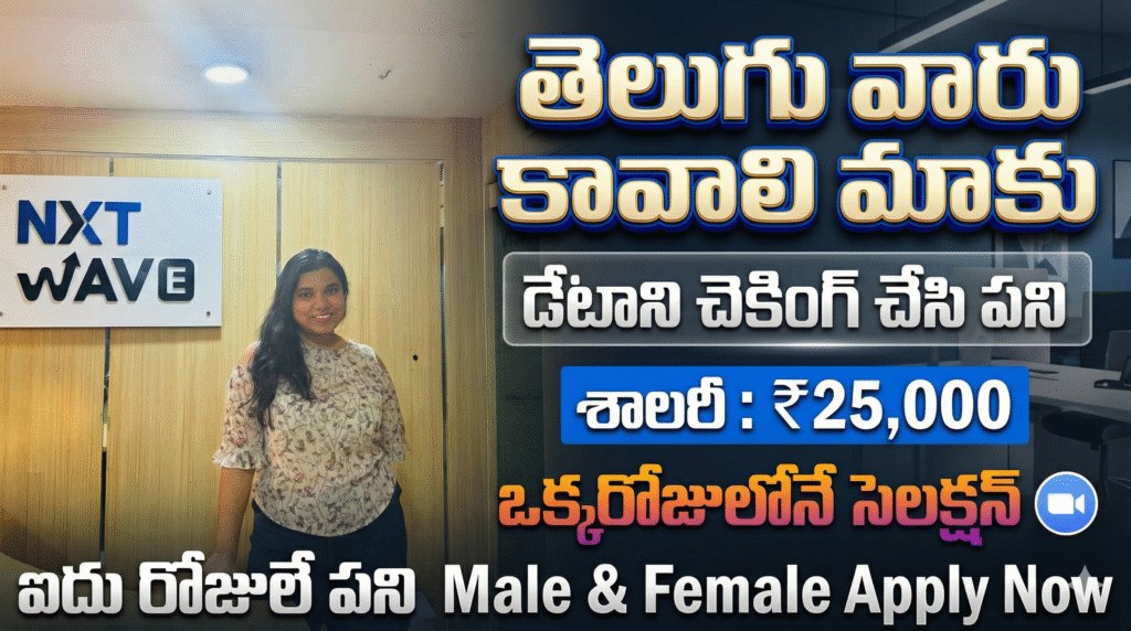 తెలుగు వచ్చిన వారు కావాలి || 👉 డేటాని చెకింగ్ చేసి ఇస్తే చాలు || ₹25,000 : జీతం || No Exam No Fee