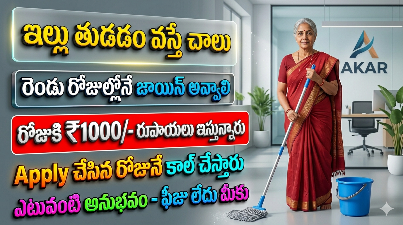 Best House Keeping Work 2026 Don't Miss Guys
