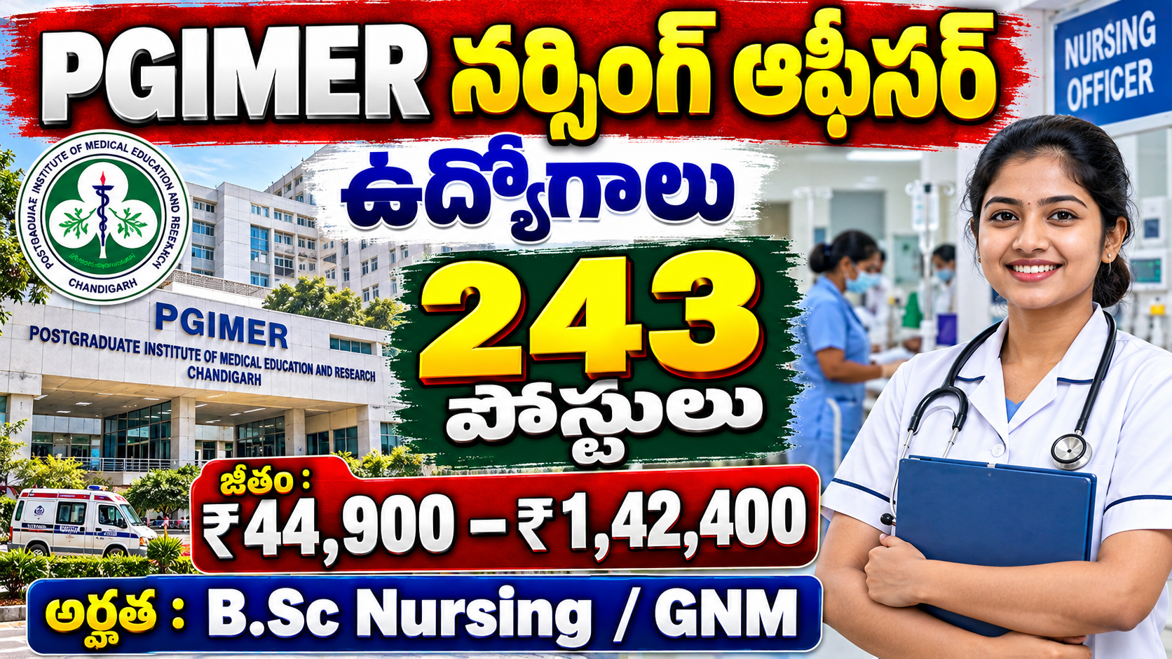 Amazing Nursing Officer Job 243 Vacancies 